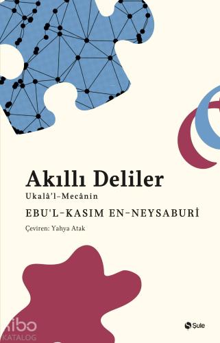 Akıllı Deliler Kitabı - Kitapiks.com
