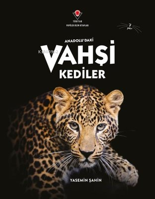Anadolu'daki Vahşi Kediler - Kitapiks.com