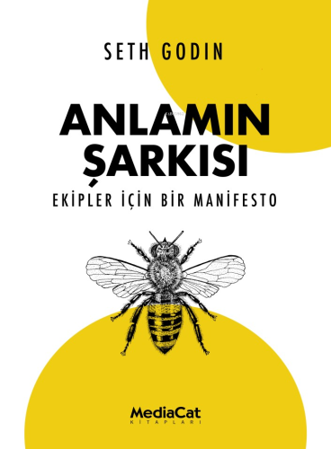 Anlamın Şarkısı ;Ekipler İçin Bir Manifesto - Kitapiks.com