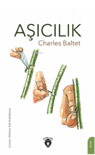 Aşıcılık