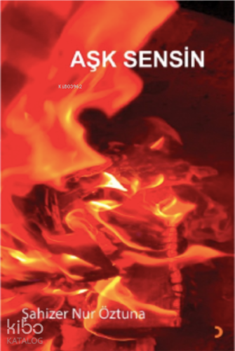 Aşk Sensin - Kitapiks.com