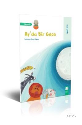 Ay'da Bir Gece