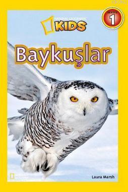 Baykuşlar-Seviye 1