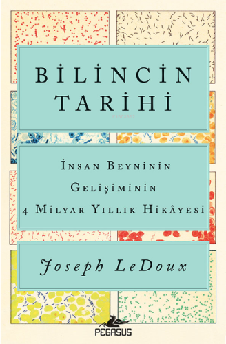 Bilincin Tarihi; İnsan Beyninin Gelişiminin 4 Milyar Yıllık Hikayesi