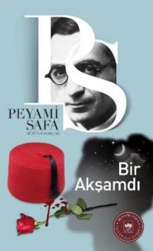 Bir Akşamdı