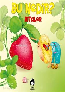 Bitkiler - Bu Nedir?
