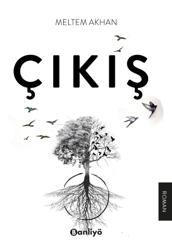 Çıkış