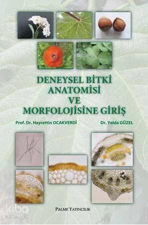 Deneysel Bitki Anatomisi ve Morfolojisine Giriş - Kitapiks.com