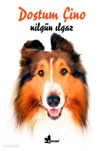 Dostum Çino