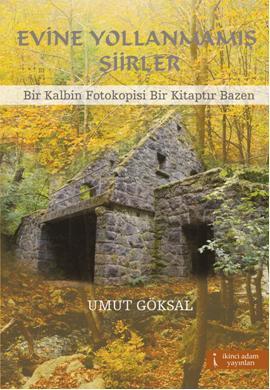 Evine Yollanmamış Şiirler - Kitapiks.com