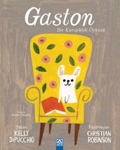 Gaston;Bir Karışıklık Öyküsü - Kitapiks.com