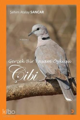 Gerçek Bir Yaşam Öyküsü Çibi
