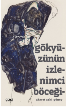 Gökyüzünün İzlenimci Böceği - Kitapiks.com