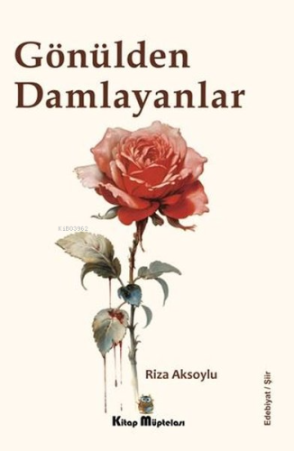 Gönülden Damlayanlar - Kitapiks.com