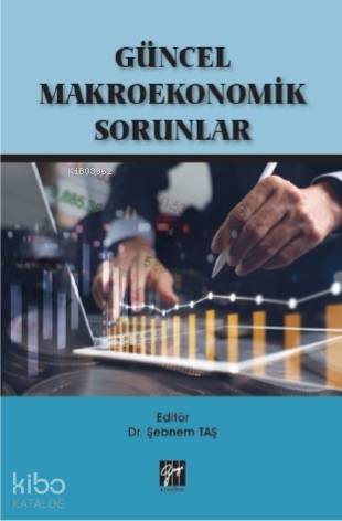 Güncel Makroekonomik Sorunlar