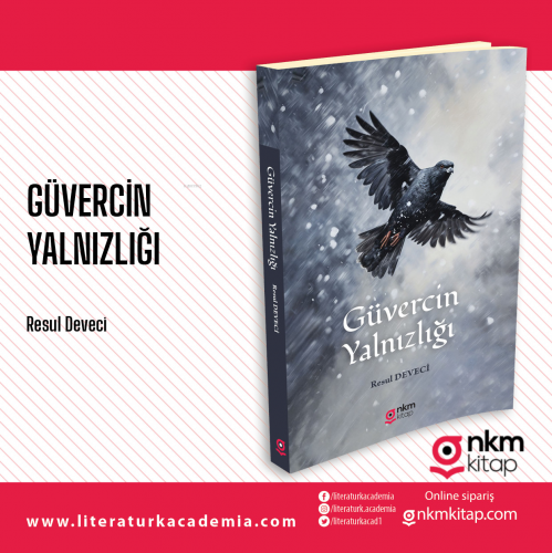 Güvercin Yalnızlığı