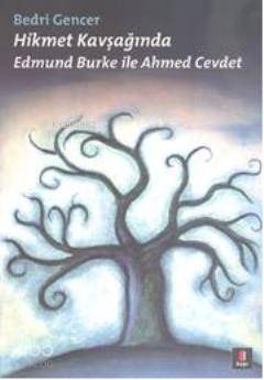 Hikmet Kavşağında; Edmund Burke ile Ahmed Cevdet - Kitapiks.com