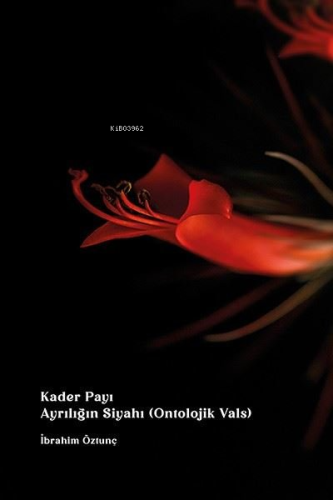 Kader Payı Ayrılığın Siyahı - Ontolojik Vals