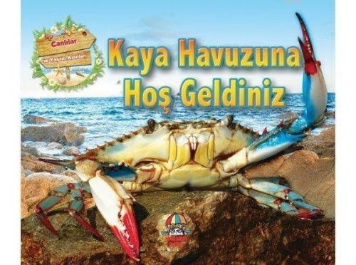 Kaya Havuzuna Hoş Geldiniz