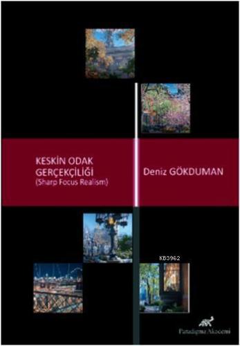 Keskin Odak Gerçekçiliği; Sharp Focus Realism