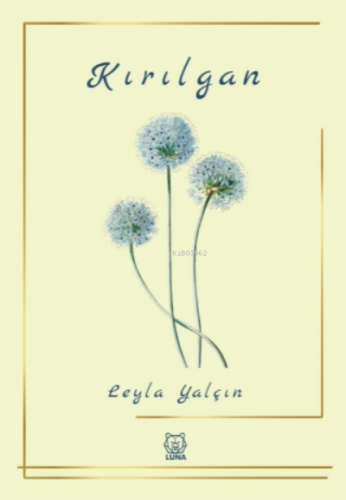 Kırılgan - Kitapiks.com