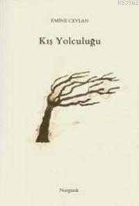 Kış Yolculuğu - Kitapiks.com