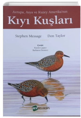 Kıyı Kuşları
