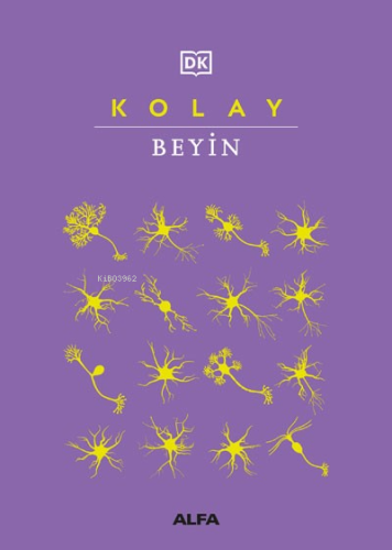 Kolay Beyin - Kitapiks.com