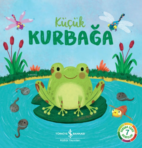 Küçük Kurbağa - Kitapiks.com