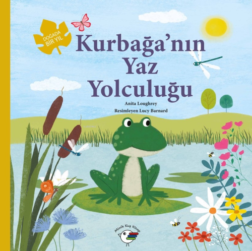 Kurbağa'nın Yaz Yolculuğu ;Doğada Bir Yıl