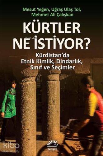 Kürtler Ne İstiyor?; Kürdistan'da Etnik Kimlik, Dindarlık, Sınıf ve Se
