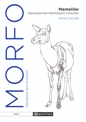 Morfo Memeliler Karşılaştırmalı Morfolojinin Unsurları - Kitapiks.com