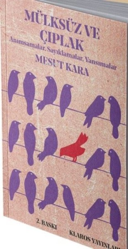 Mülksüz ve Çıplak - Kitapiks.com