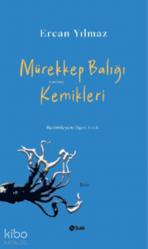 Mürekkep Balığı Kemikleri