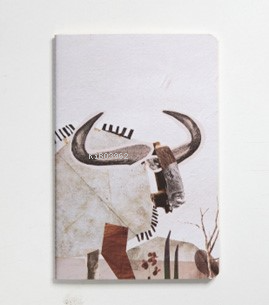 Nesin Defter-Antilop - Kitapiks.com