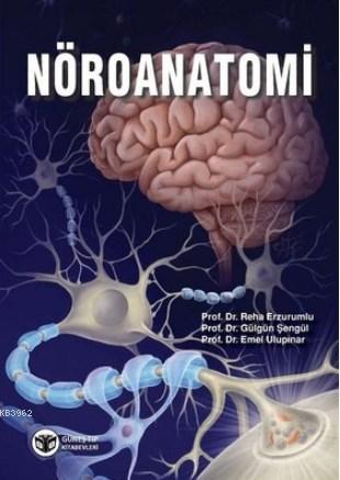 Nöroanatomi