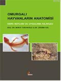 Omurgalı Hayvanların Anatomisi; Ders Notları ve Uygulama Kılavuzu - Ki