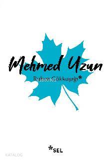 Ruhun Gökkuşağı
