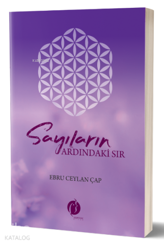 Sayıların Ardındaki Sır