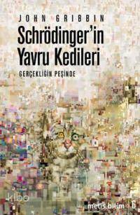 Schrödinger'in Yavru Kedileri; Gerçekliğin Peşinde - Kitapiks.com