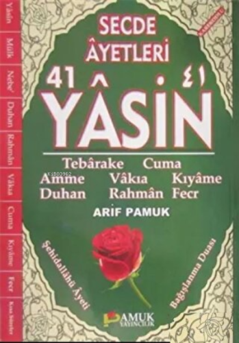 Secde Ayetleri 41 Yasin