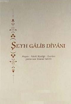 Şeyh Galip Divanı; Hayatı - Edebi Kişiliği - Eserleri - Şiirlerinin Umumi Tahlili