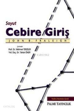 Soyut Cebire Giriş - Kitapiks.com