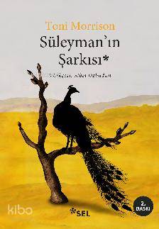 Süleyman'ın Şarkısı - Kitapiks.com