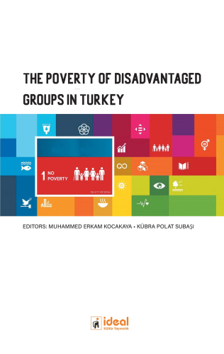 The Poverty Of Disadvantaged Groups In Turkey - Kitapiks.com