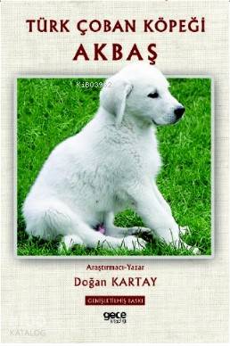 Türk Çoban Köpeği Akbaş