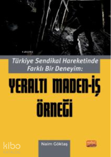 Türkiye Sendikal Hareketinde Farklı Bir Deneyim: Yeraltı Maden- İş Örneği
