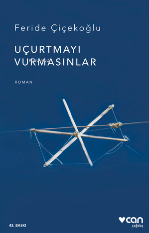 Uçurtmayı Vurmasınlar - Kitapiks.com
