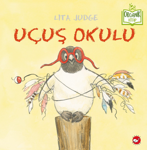 Uçuş Okulu - Kitapiks.com