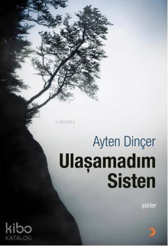 Ulaşamadım Sisten